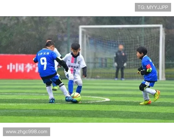 专访张强：探寻足球背后的成功秘诀与发展之路